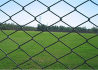 Grün 6&quot; Höhe 4 Fuß-Bauernhof Kettenglied-Zaun PVCs schützen überzogenen
