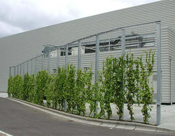 Edelstahlkabelmasche werden zu einem Stahlrahmen angebracht, um eine grüne windundurchlässige Wand entlang der Straße herzustellen.