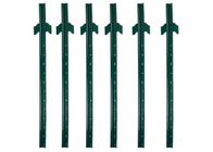 8&quot; Posten-Rost-Beweis-grüner gemalter Zaun Use des Stahl-U