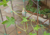 6,5 Plastik-Mesh Netting Hdpe Garden Leaf-Fuß Schutz-Protector Trellis