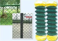 3.5mm 6 Ft X 50 Ft-Kettenglied-Zaun-Animal Protection Green-PVC beschichteten