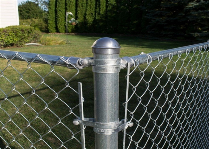 6 Fuß-Kettenglied-Draht Mesh Fence Hot Dipped Galvanized für Bauernhof