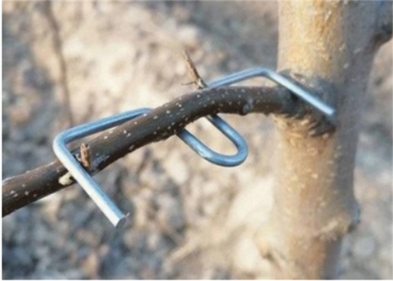 13cm Länge Galvanisierte Baumzweige Drückwerkzeug Furit Bäume Verwendung